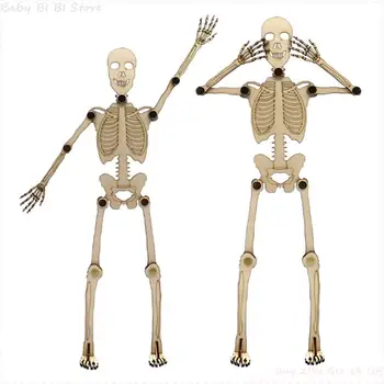 1 Комплект Обучающих материалов по блоку Монтессори, структура скелета, Головоломка, детская Сенсорная модель человека, Научная игрушка, Подвижный сустав